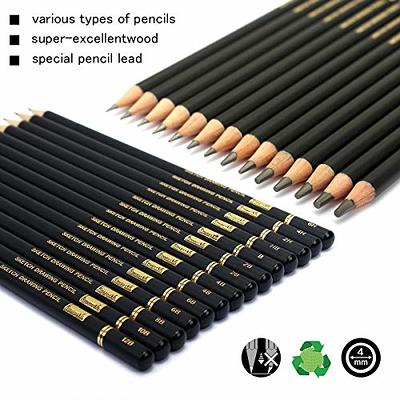 Professional Drawing Sketching Pencil Set - 12 Pieces Art Drawing Graphite  Pencils(2H-8B), Ideal for Drawing Art, Sketching, Shading, for Beginners 