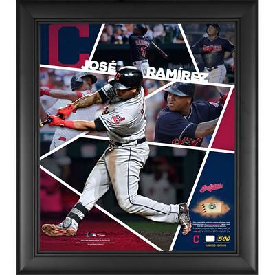 FERNANDO TATIS Jr. Unsigned Padres Framed 15 x 17 Game Used