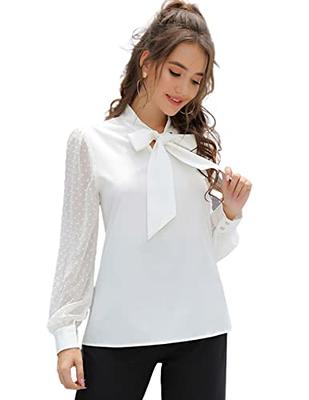 Long Sleeve Shirts for Women Casual Flowy V Neck Chiffon Blouses Pleated  Lantern Sleeve Dressy Tops Elegant Work Shirts