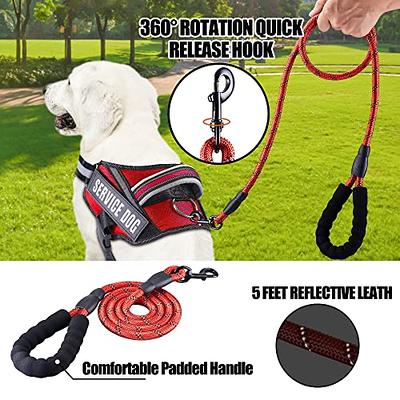 Service Dog Vest Harness and Leash Set, Animire in Training Dog
