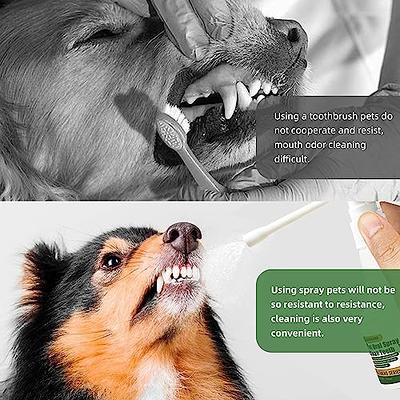 TTEDMO 2023 New Pet Clean Teeth Spray,Pet Clean Teeth Cleaning Spray for  Dogs & Cats,Pet Oral Spray Clean Teeth,Petclean No Brushing Pet Oral Care