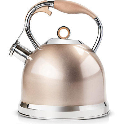 Tea Kettle -2.8 Quart Tea Kettles Stovetop Whistling Teapot Stainless Steel Tea  Pots for Stove Top Whistle Tea Pot - Yahoo Shopping