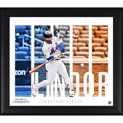 Fanatics Authentic Bryce Harper Philadelphia Phillies Framed 15 x 17 Player Panel Collage