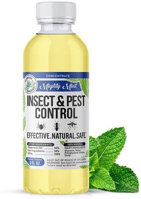 8 x 1 million Beneficial Nematodes (S.feltiae) - Nema Globe Pot Popper  Organic Indoor Fungus Gnat & Insect Control - Yahoo Shopping