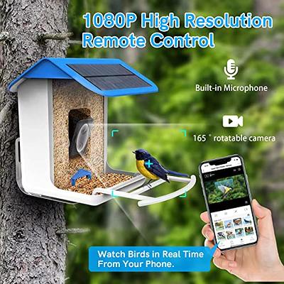 Smart Bird Feeder Lite Motion Detection Bird Home Feeder Security Came –  dzees-cam