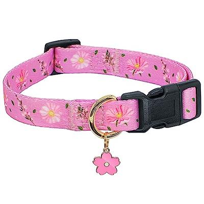 Lucky Love Dog Collars, Floral Girl or Boy Dog Collar for Large Dogs,Comfortable,  Soft, Cute, Ladybird, Large - Yahoo Shopping