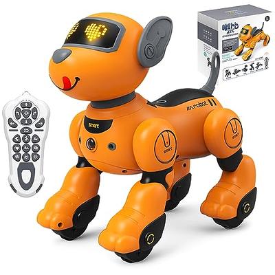 Lexibook - Powerman Jr. Smart Interactive Toy Robot that Reads in the Mind  Toy for Kids Dancing Plays Music Animal Quiz STEM Programmable Remote  Control Boy Robot Junior Green/Blue - ROB20EN 