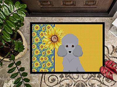 Color G Door Mats Indoor, 24x36 Navy Front Door Mat Indoor Door Rugs for  Entryway Indoor, Inside Door Mats Absorbent Floor Mat, Non Slip Washable