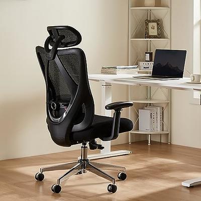 Office Chair, Ergonomic Desk Chair with Adjustable Lumbar Support, High Back