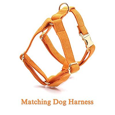 Metal Harness - personalized