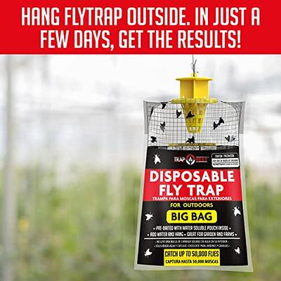 Trappify Hanging Fly Trap - Fly Traps for Indoors and Outdoor - Fly Paper  and Fly Strips - 2 Pk 