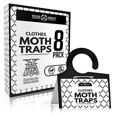 Catcher Labs Pantry Moth Traps | Moth Traps with Pheromones | Non-Toxic Moth Catcher | Traps to Get Rid of Moths in House (6-pack)