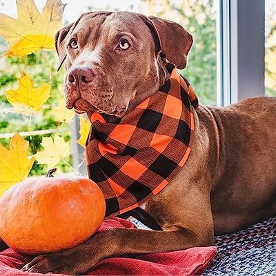 Sweetude 200 Pieces Fall Dog Bandanas Bulk Thanksgiving Day Bandanas for  Dogs, Pumpkin Maple Leaves Pattern Pet Triangle Scarf Puppy Dog Kerchief  Bibs for Autumn Holiday Costume Accessories Decoration - Yahoo Shopping