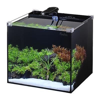 420 G/Sac De Charbon Actif Fish Tank Aquarium Biological Filter Material  House Media Aquarium Accessoires Y200922 Du 9,01 €