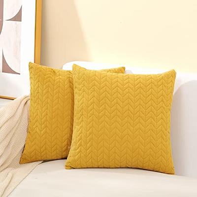  Cikary Decorative Throw Pillow Covers 18x18 Set of 2