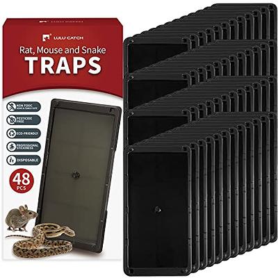  ELEGENZO Sticky Mouse Trap Mouse Traps Indoor for Home Rat  Traps That Work for Trapping Snakes Rats Spiders Roaches & Other Rodents，3  transparent : Patio, Lawn & Garden