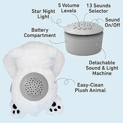 White Noise Generator, Rain Sound Machine for Sleeping, Baby Soother -  Portable White Noise Machine for Office Privacy & Noise Canceling, Sound