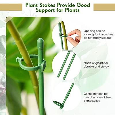 Green Bamboo Sticks Plant Stakes, Plant Support Sticks for Indoor Plants,  GAGINANG Sturdy Bamboo Stakes, Floral Plant Support for Indoor and Outdoor