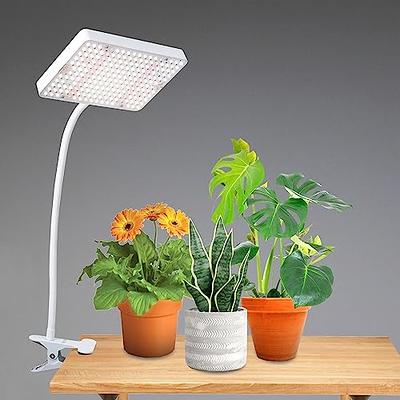 JINHONGTO Clip On Grow Light, UV-IR Included Full Spectrum Plant Grow Light,  208PCS LEDs Very Bright Plant Light for Indoor Growing, Daisy Chain  Function and ON/Off Switch - Yahoo Shopping