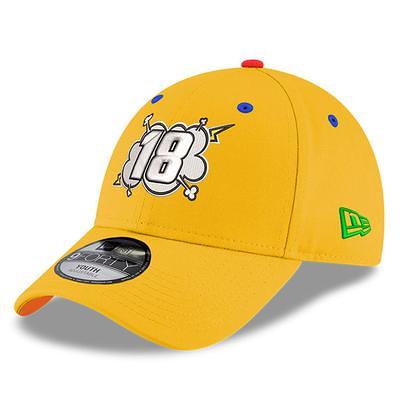 Men's Dale Earnhardt Jr. New Era Black Download Shadow Tech 9FORTY Snapback  Adjustable Hat