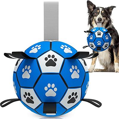 Addcean Dog Toy Balls with Chewing Ropes, Pet Flying Saucer Ball Dog Toy  Interactive Dog Toys for Tug of War, Best Gifts for Small & Medium Dogs【Not  for Aggressive Chewers】 (Blue) 