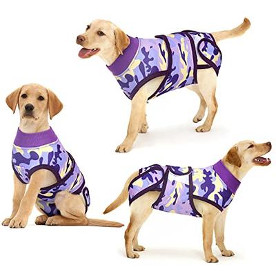 Dog Recovery Suit, Recovery Suit for Dogs After Surgery, Surgical Suit for  Male Female Dog Wounds Bandages Cone E-Collar Alternative Prevent Licking  Biting, Soft Fabric Onesie