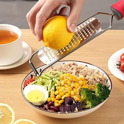 Ourokhome Cheese Grater Lemon Zester - Long Stainless Steel Zester for  Parmesan Cheese, Chocalate, Citrus, Ginger, Coconut, Lemon, Fruits,  Dishwasher