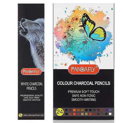 Dainayw White Charcoal Pencils Drawing Set, 6 Pcs Smooth Soft & Medium  Sketching Pencil for Highlighting Art Supplies