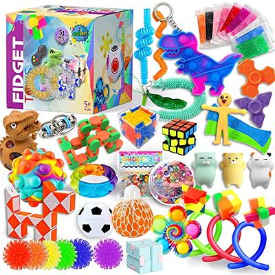 Sensory Fidget Toys Set, Fidget Sensory Toys Bundle for Kids