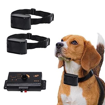 Underground Dog Fence Collars