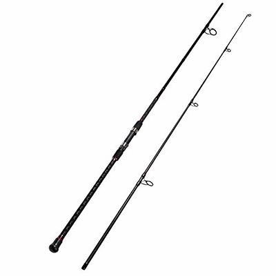 Fiblink Surf Spinning Fishing Rod 2-Piece Graphite Travel Fishing