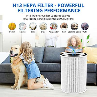 Filtro Kilo True HEPA de 360°3 filtros de repuesto compatibles con  purificador de aire Afloia Kilo/Kilo Pro/MIRO/MIRO Pro, filtro HEPA H13,  paquete de