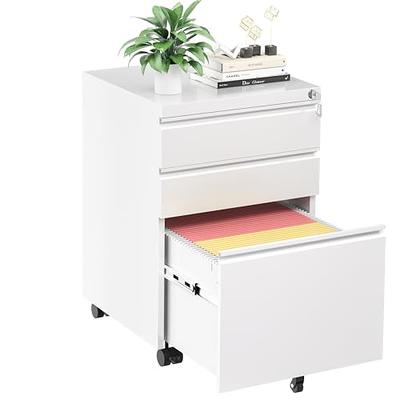 URTR Black Folding File Cabinet with 2 Adjustable Shelves, Metal Cabinet  with 2-Doors and Lock for Office, Garage, Home T-02024-7 - The Home Depot