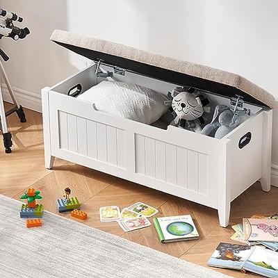  DINZI LVJ Storage Chest, Flip-Top Wooden Toy Box with 2 Safety  Hinges, Retro Entryway Shoe Storage Bench, Sturdy Large Storage Trunk for  Living Room, Bedroom, Easy Assembly, White : Home 