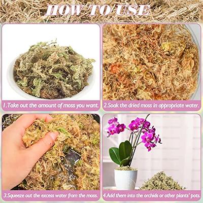 Halatool 10OZ Natural Sphagnum Moss for Plants 8 QT Premium Peat Moss Dried  Long Fiber Orchid Moss for Orchid Repotting Carnivorous Succulents Garden