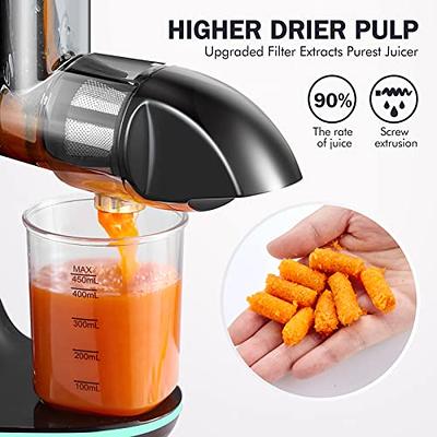 Masticating Juicer Attachment for KitchenAid All Models Stand  Mixers,AMZCHEF Masticating Juicer, Slow Juicer Attachment for All  KitchenAid Mixers