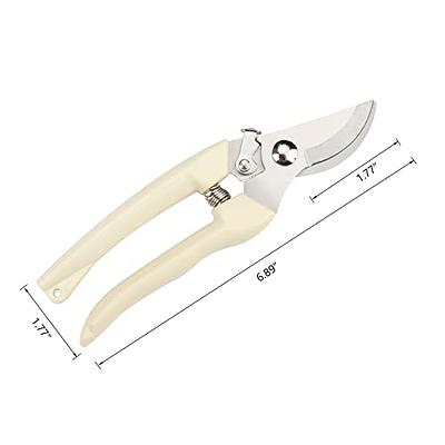 Gardening Hand Pruner Garden Scissors Pruning Shears Cutter Pruning Snips  Leaf Trimmer Straight Florist Scissor Tool