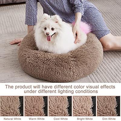 Mixjoy deals dog bed