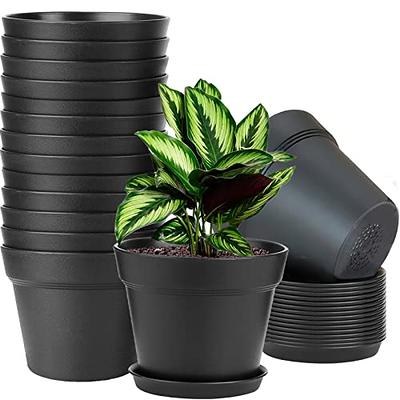 7 Inch Plant Pots, 6 Pack Flower Pots Indoor Outdoor, Decorative Planters  with Drainage Hole and Tray Saucer - Yahoo Shopping