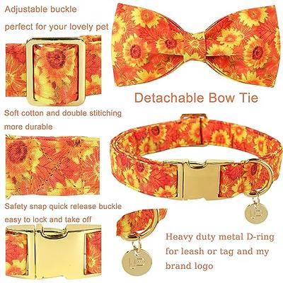 Red Flower Bow Tie Dog Collar And Leash