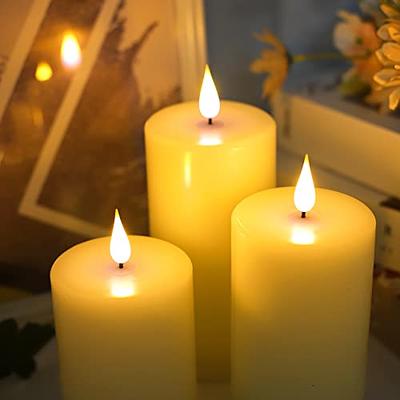 Lumabase Battery Operated Wax LED Candles, Dried Flowers - Set of 2