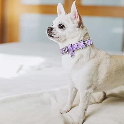  Dog Collar for Small Medium Large Dogs Pet Collars