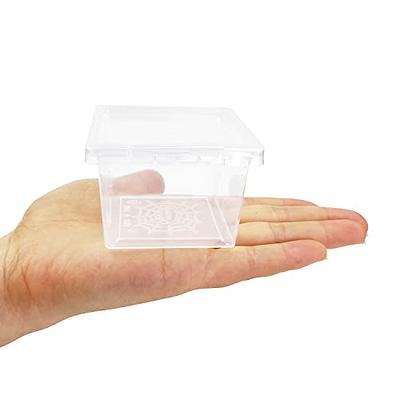 Spider Jumping Breeding Box Small Clear Container Enclosure