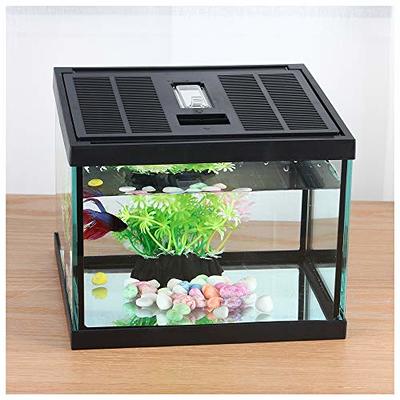 Mirror Mirror On The Wall Whos The Smartest Betta Of All Fish Training  Mirror Aquarium Supplies - Pet Supplies - Temu