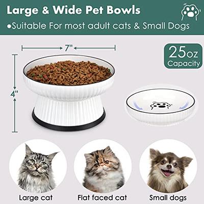 Dog Bowl And Bowl Elevated Cat Bowl, 15 Degree Sloped Ceramic For Small Dogs  With Iron Stand, 2-in-1 Elevated Food And Water Bowls For Dogs, Neck Reli