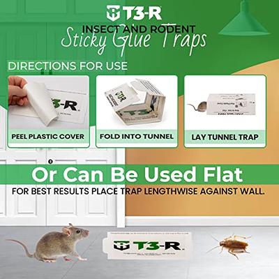 Catchmaster Mouse Insect Spider Glue Traps ( 12 Pack ) Mice