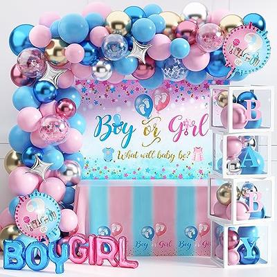 KatchOn, XtraLarge Pink And Blue Streamers - 6.4x8 Feet, Pack Of 2 Gender  Reveal Decorations, Baby Gender Reveal Backdrop Boy Or Girl
