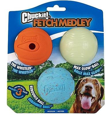 ALL FOR PAWS tumblers Erratic Ball Dog Fetch Toy Durable Squeaker topple  Dog Toy Egg for Dogs Rubber Dog Toy Meta Ball (Holey Egg Indestructible M)