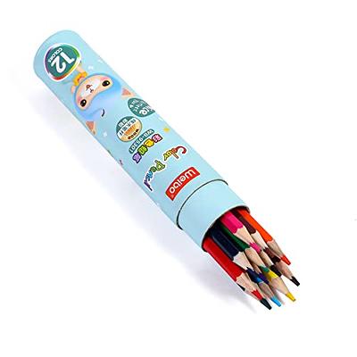 72 Pack Colored Pencils for Adult Coloring Books, Soft Core, Art Drawing  Pencils for Artists Kids Beginners, Coloring Pencils Set with Sharpener for  Coloring, Sketching, Painting 