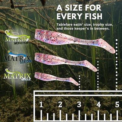 Matrix Shad Original 3 Inch Fishing Lure for Speckled Trout, Redfish, Bass  - Paddle Tail Swimbaits for Freshwater and Saltwater - Lemon Head - 8 Count  Bag (Pack of 1) - Yahoo Shopping